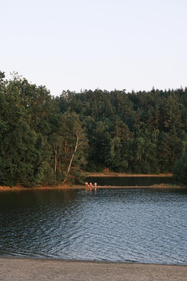 Lodge Avec Spa Privatif - Foret Et Lac Liginiac Exterior foto